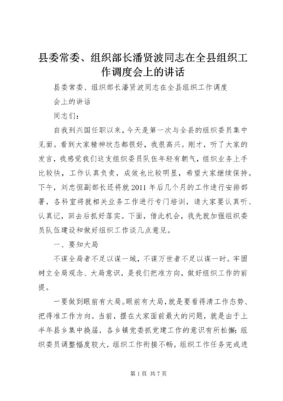 县委常委、组织部长潘贤波同志在全县组织工作调度会上的讲话精编.docx