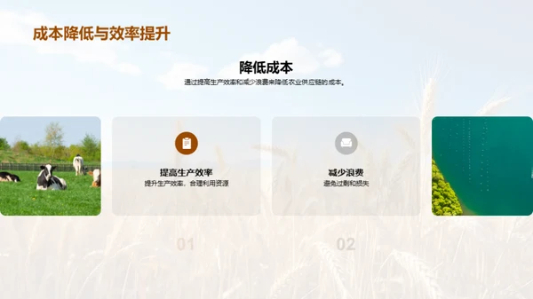 农业供应链的创新与优化