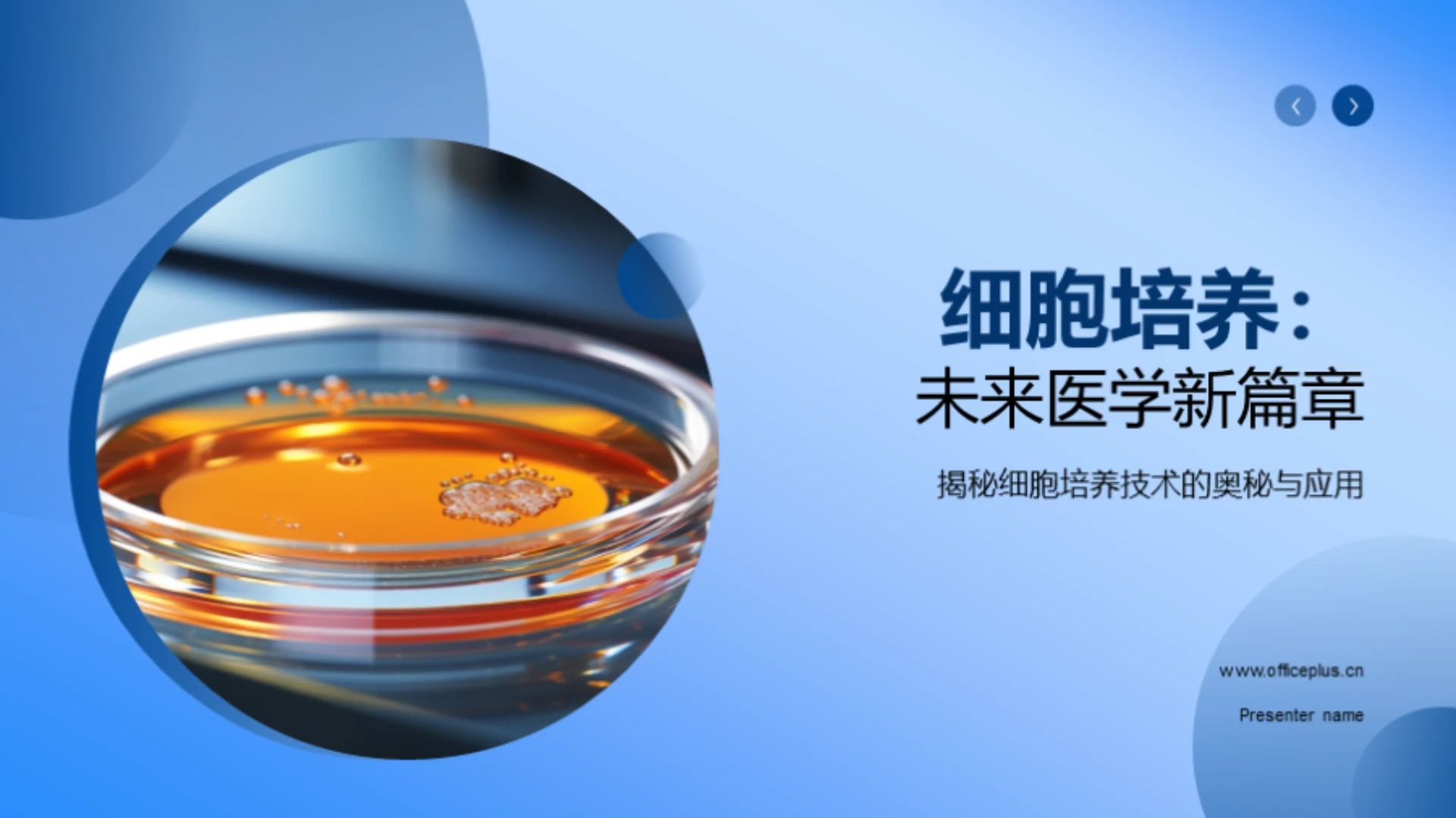 细胞培养:未来医学新篇章