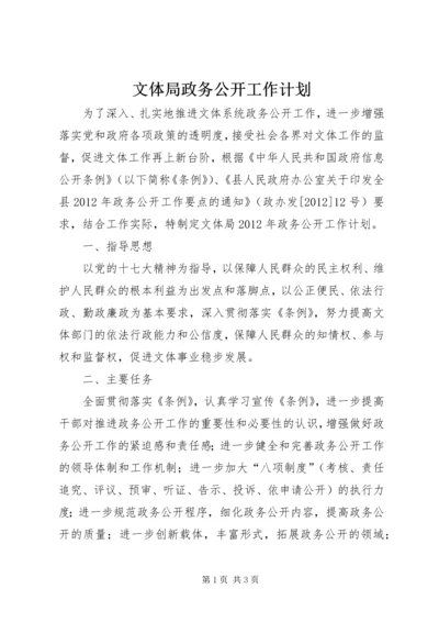 文体局政务公开工作计划.docx