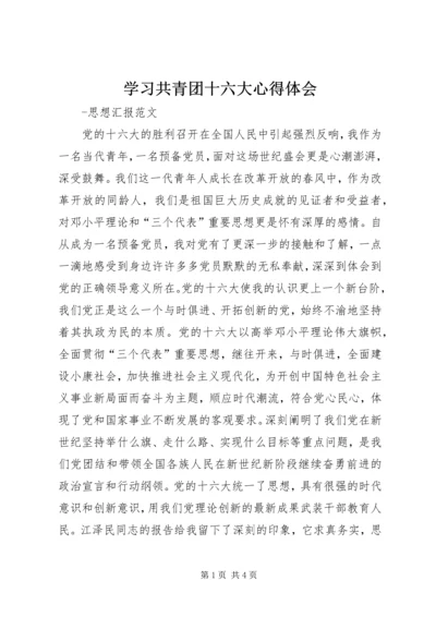 学习共青团十六大心得体会 (3).docx