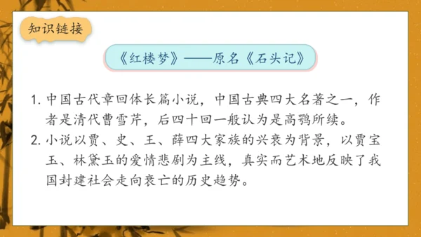【核心素养】部编版语文五年级下册-8.红楼春趣（课件）