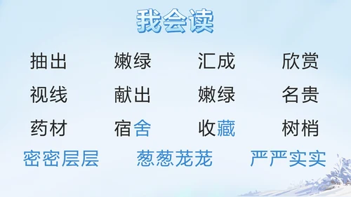 部编版三年级上册第二十课美丽的小兴安岭PPT模板