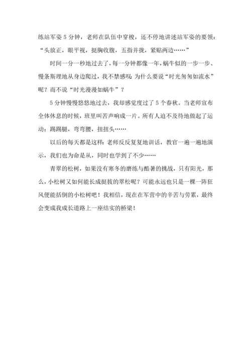 初中军训心得体会模板集合6篇.docx