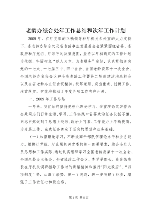 老龄办综合处年工作总结和次年工作计划.docx