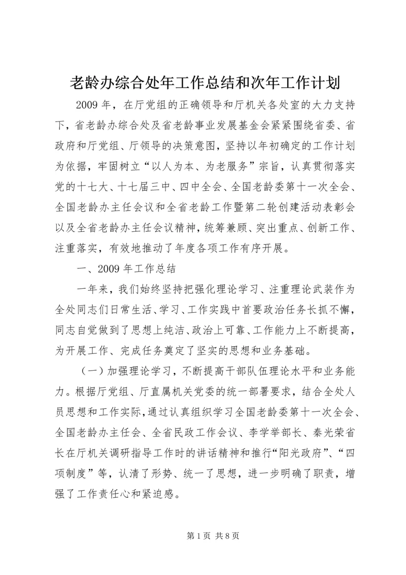 老龄办综合处年工作总结和次年工作计划.docx