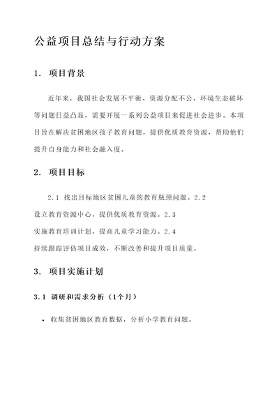 公益项目总结与行动方案