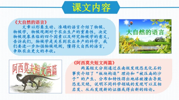 第二单元（单元复习课件）八年级语文下册同步备课系列（统编版）(共31张PPT)