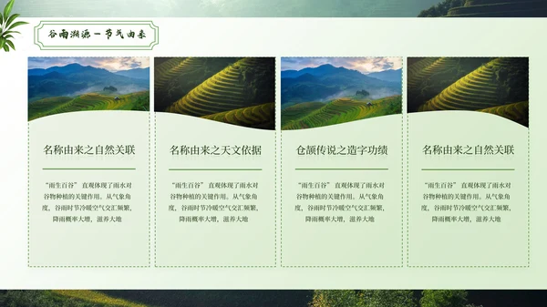 绿色谷雨二十四节气ppt模板