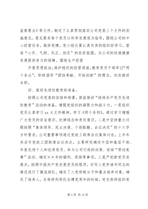 党支部半年总结.docx