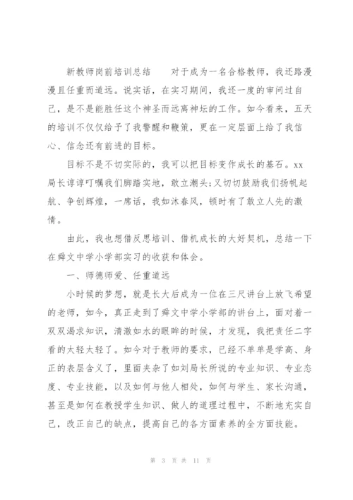 新教师岗前培训总结.docx