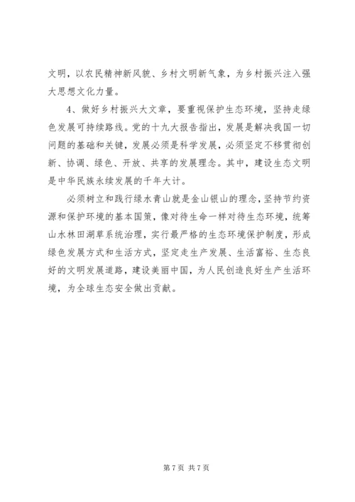 全国两会精神宣讲实施乡村振兴战略.docx