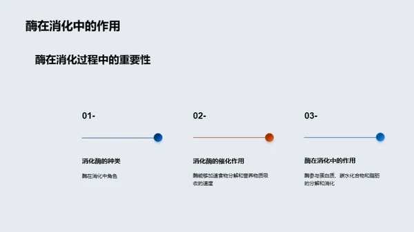 揭秘酶的生物奥秘