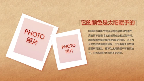 红色喜庆弘扬共产党人精神PPT动态模板