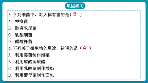 5.4.5人类对细菌和真菌的利用（第2课时）-人教版生物八年级上册(共25张PPT)