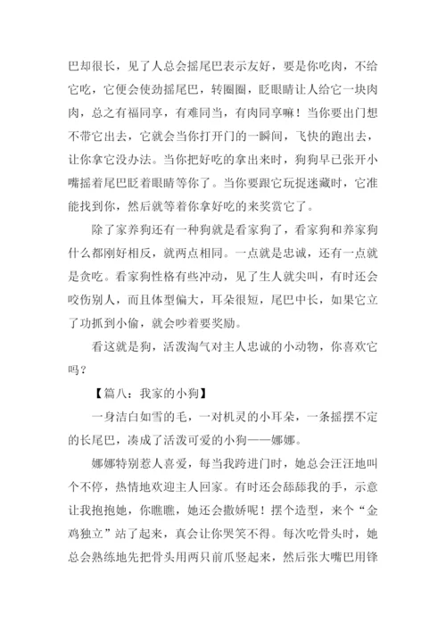 关于小狗的作文350字.docx