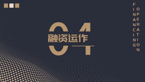 高端质感大气项目融资计划通用PPT模板