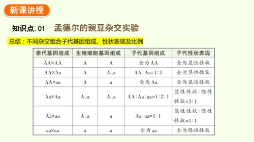 7.2.3基因的显性和隐性-八年级生物人教版下学期同步精品课件(共36张PPT)