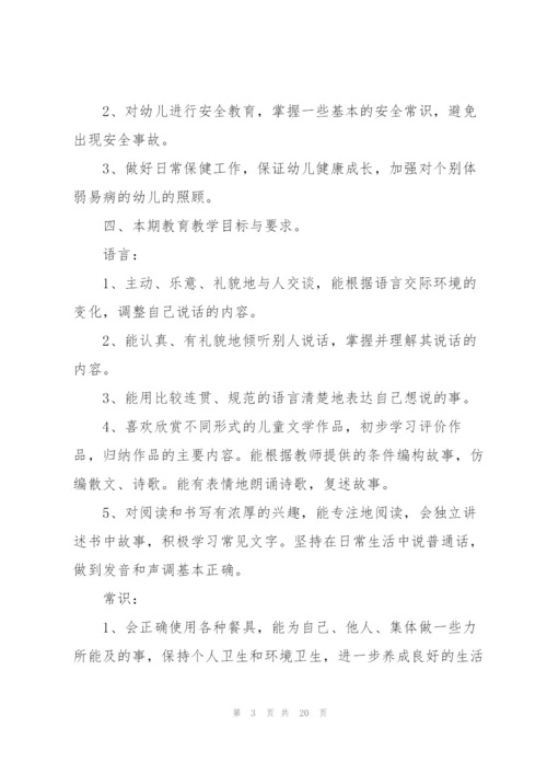 幼儿园教学工作计划规划.docx