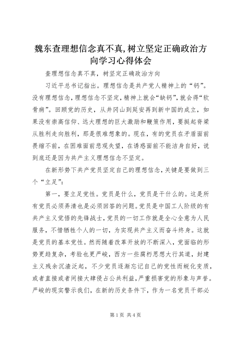 魏东查理想信念真不真,树立坚定正确政治方向学习心得体会 (2).docx