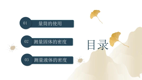 6.3测量物质的密度（课件）(共24张PPT) -2023-2024学年八年级物理上册同步精品课堂（