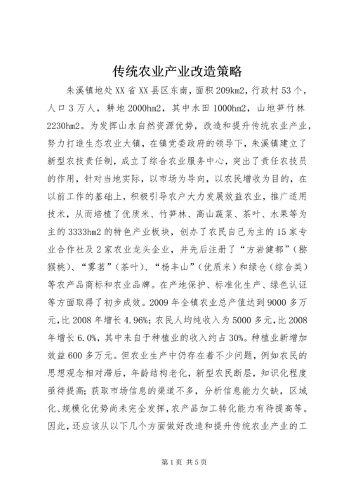 传统农业产业改造策略.docx