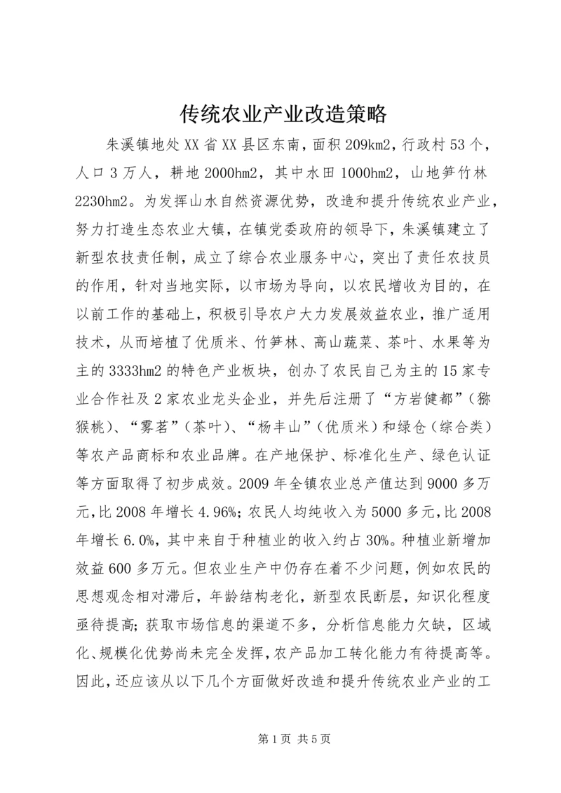 传统农业产业改造策略.docx