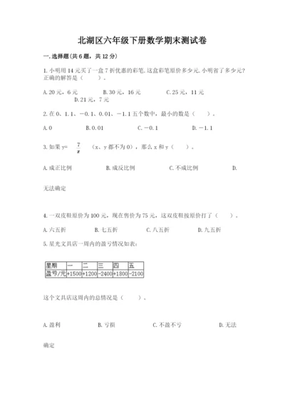 北湖区六年级下册数学期末测试卷精品.docx