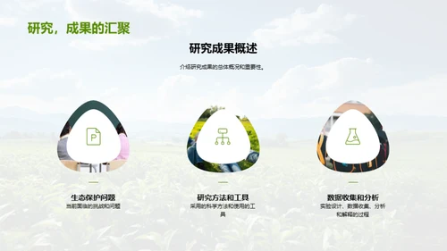 农业生态守护策略