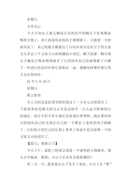 小学四年级观察作文.docx