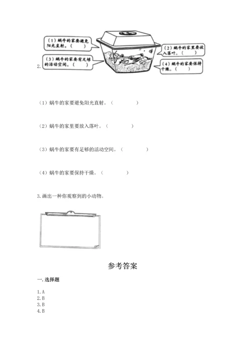 教科版一年级下册科学期末测试卷带答案下载.docx