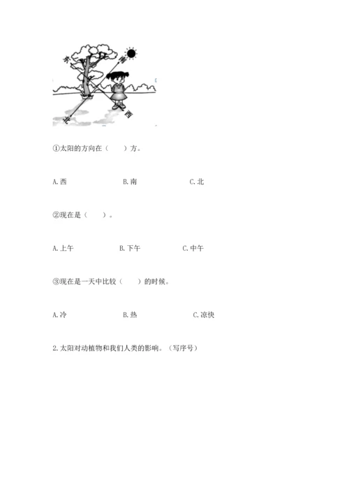 教科版科学二年级上册《期末测试卷》精品带答案.docx