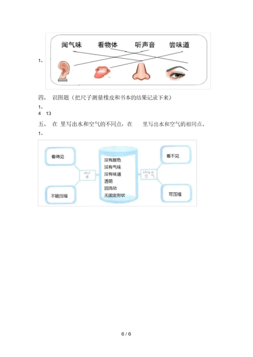 新教科版一年级科学上册期末测试卷及答案【汇总】