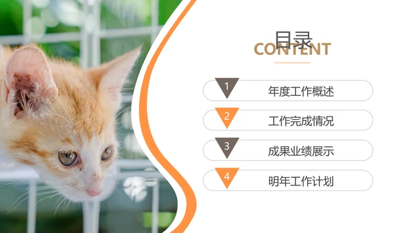 简约风宠物店商业计划书爱宠猫咪PPT模板