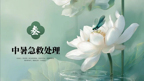 绿色清新夏季防暑降温健康指南PPT模板