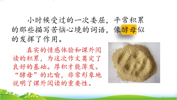 27 我的“长生果“   课件