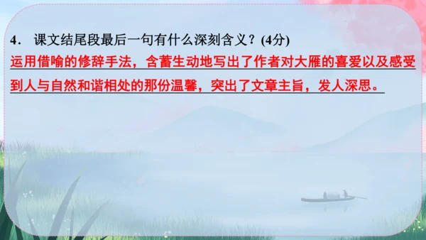 19《大雁归来》课件
