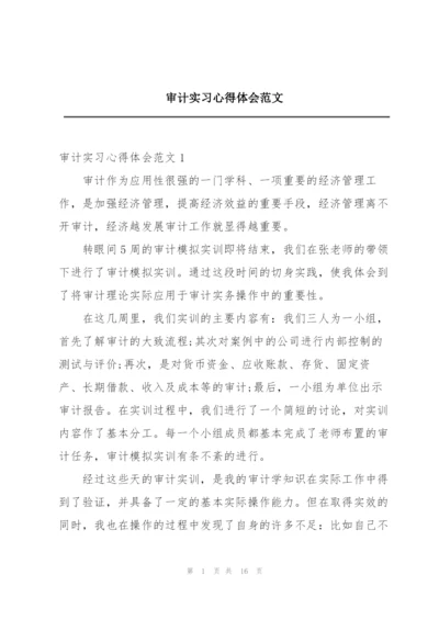 审计实习心得体会范文.docx