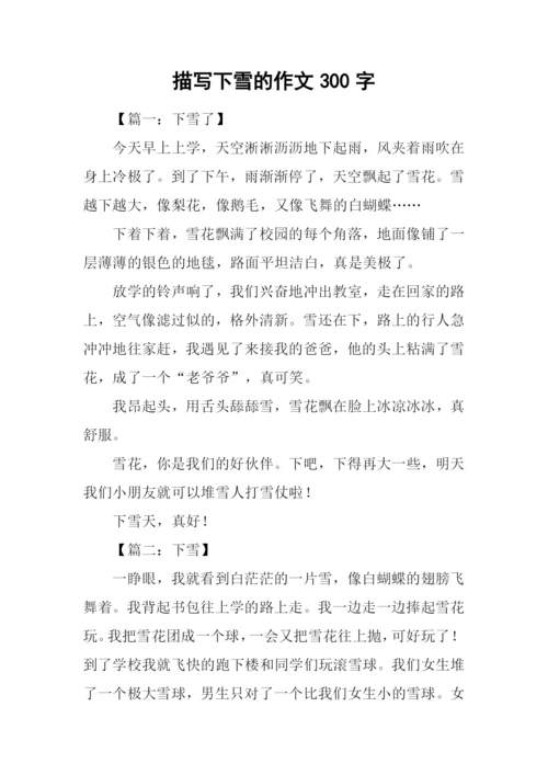描写下雪的作文300字.docx