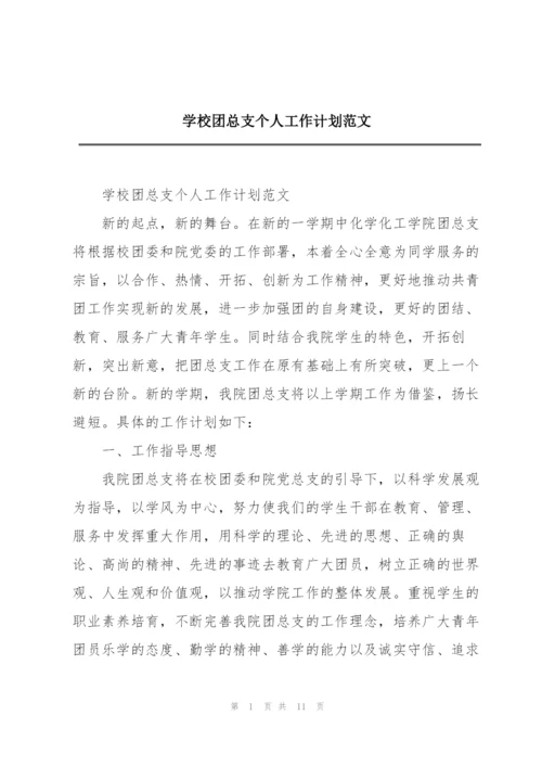 学校团总支个人工作计划范文.docx