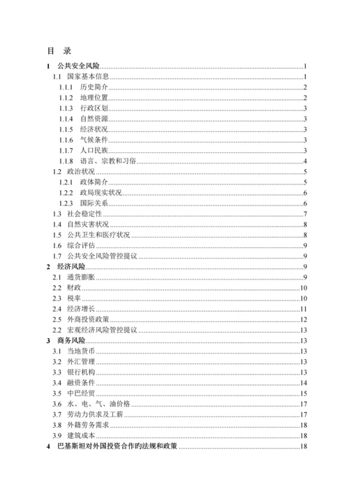 国际项目风险分析巴基斯坦.docx