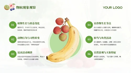 绿色简约中国传统二十四节气之夏至科普课件PPT模板