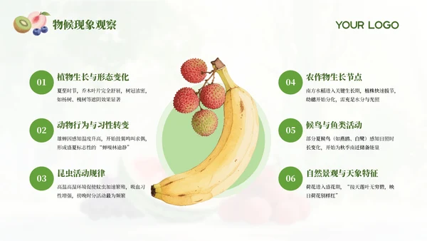 绿色简约中国传统二十四节气之夏至科普课件PPT模板