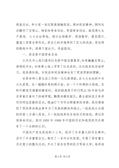 党员学习延安精神思想总结范文.docx