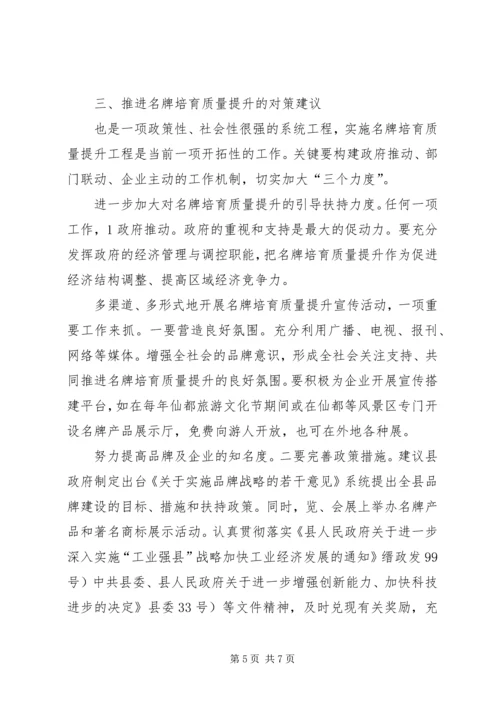 名牌质量提升调研报告 (2).docx