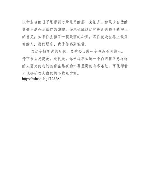 美从来都不曾缺席.docx