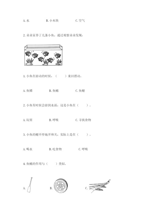 教科版一年级下册科学期末测试卷带答案（实用）.docx