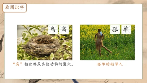 【核心素养】部编版语文一年级下册-5. 树和喜鹊 第1课时（课件）