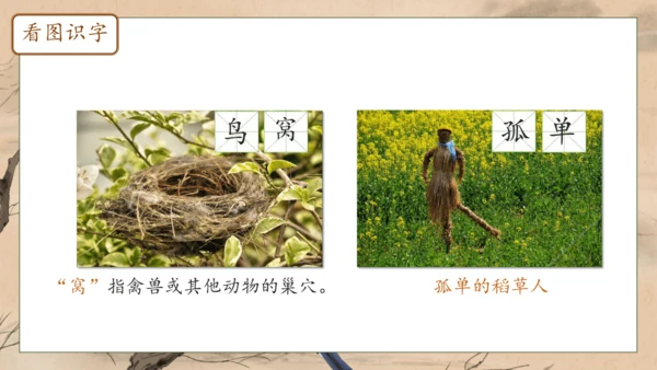 【核心素养】部编版语文一年级下册-5. 树和喜鹊 第1课时（课件）
