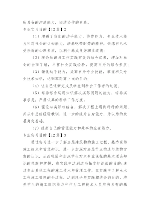 专业实习目的.docx